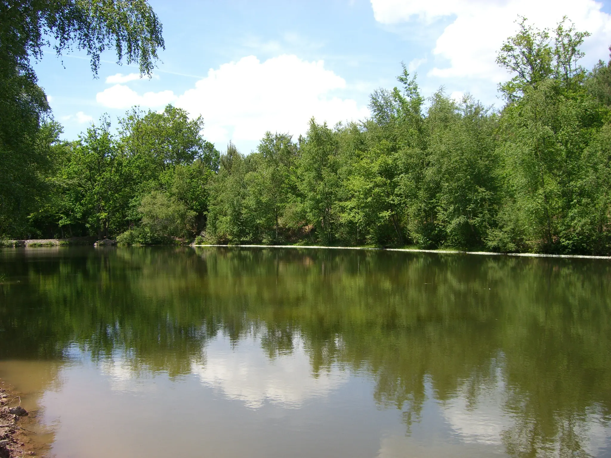 2006 Jun - Le Miroir aux Fées (The Fairy Mirror) - Brocéliande Forest - Brittany